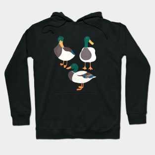 Happy ducks from the lake Hoodie